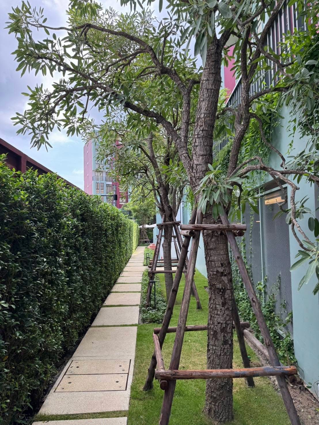 70ee3b50611f4dab85dcb29e65a90750