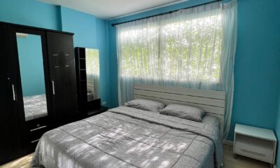 80a30314bbf34f3cae21399962cacd1d-1