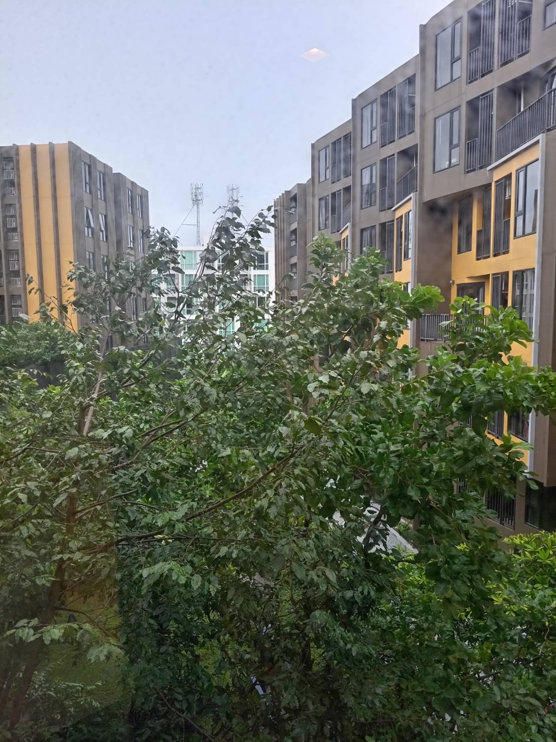 14393f7c5fa94e2f89bac84dfd7ace63