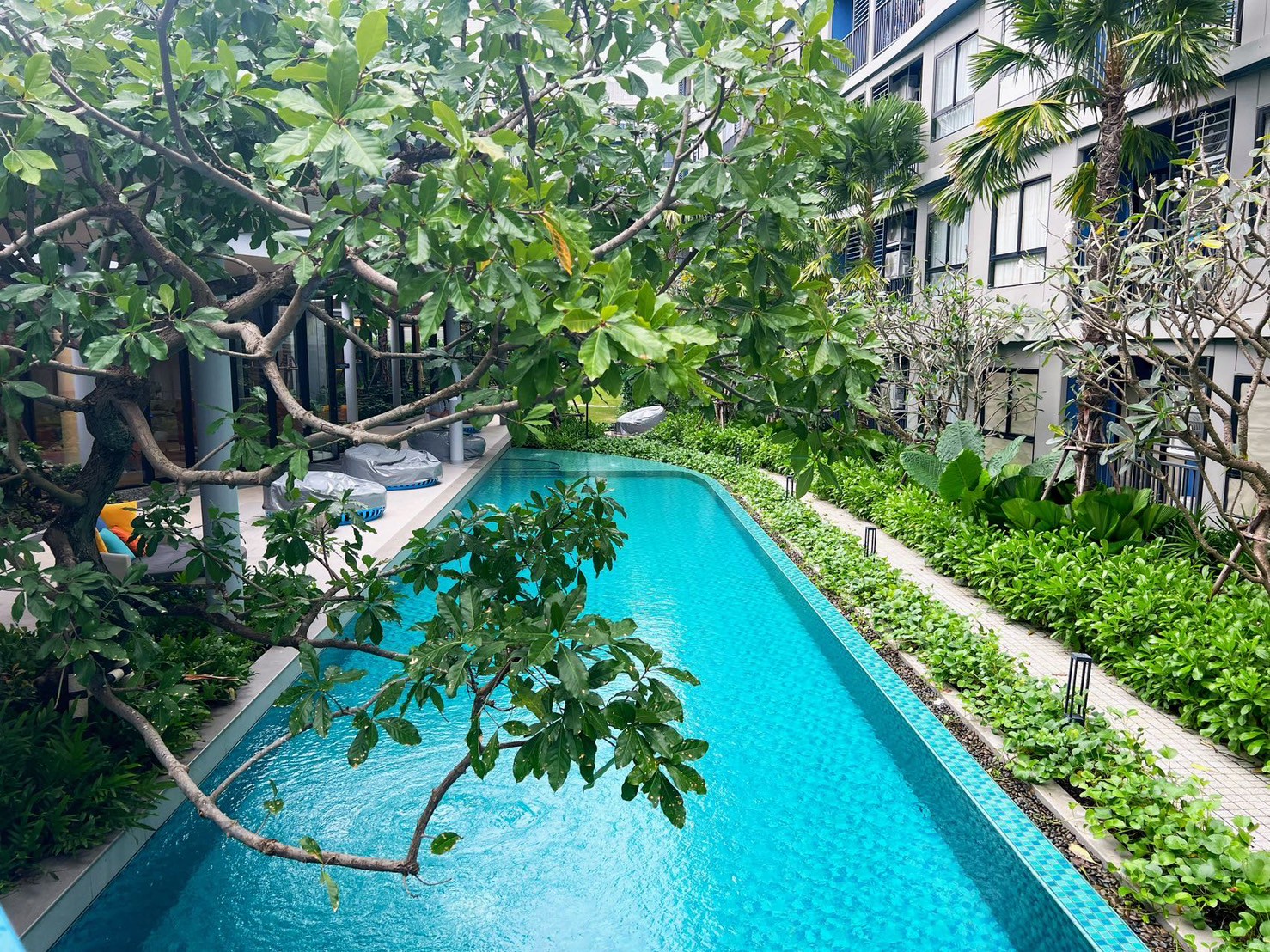 79b66b10161941e29aa42ed281e40a3d