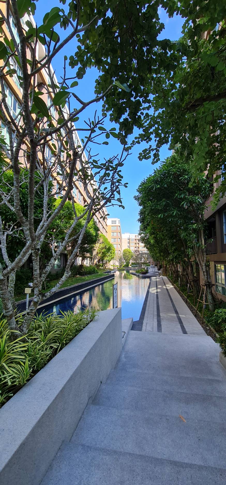 83f4872b69c440d7af992b651b65cedf