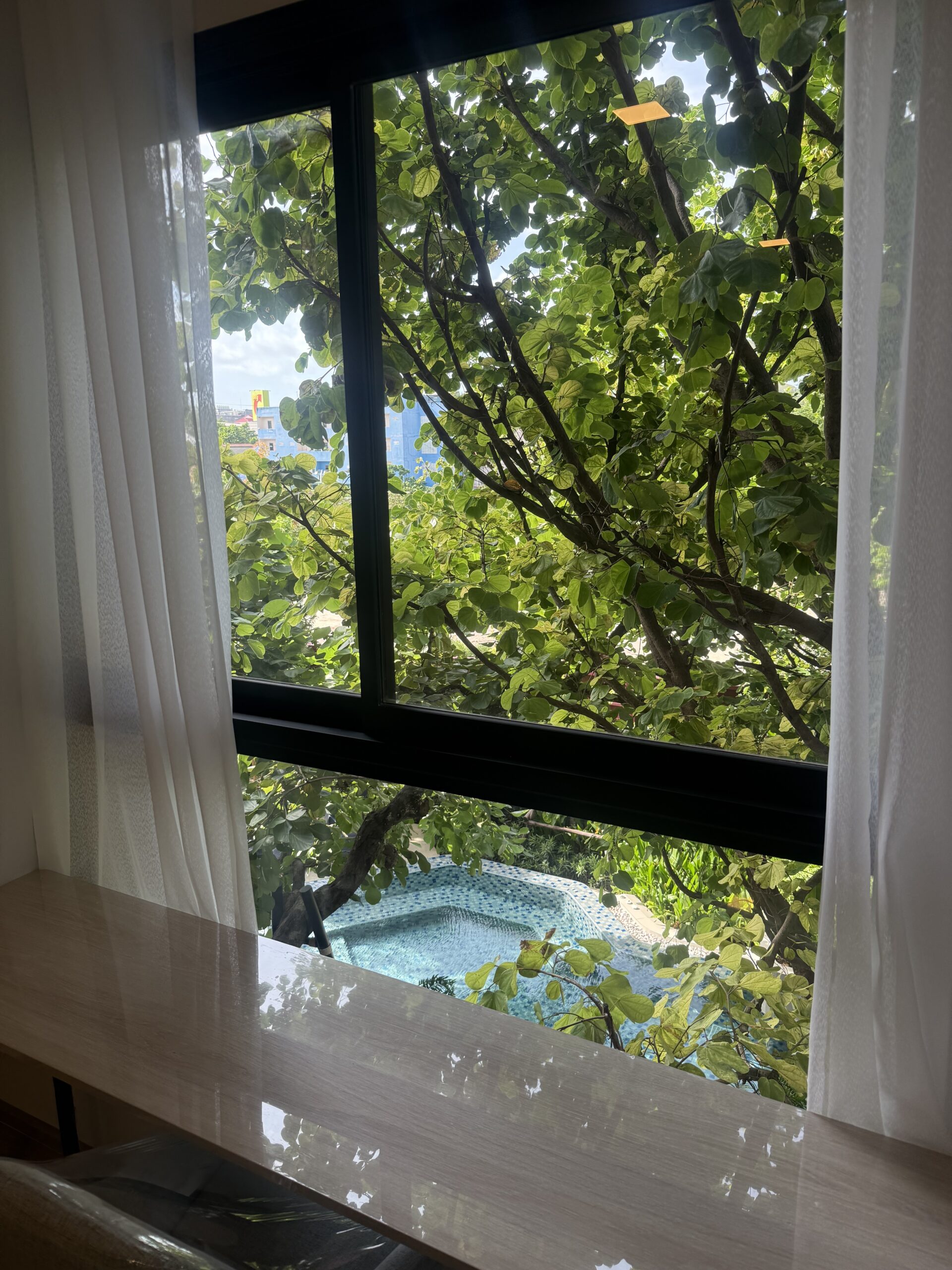 EF427EB0-7288-42F0-A4E3-289B341B09F6